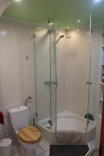 ein Badezimmer mit einer Dusche, einem WC und einer Badewanne in der Unterkunft Ferienwohnung Pimer in Ranschbach
