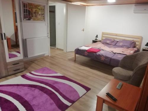 米栩克艾塔波卡的住宿－ASTA LA VISTA Vendégház，一间卧室配有一张床、一把椅子和地毯