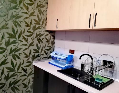 a kitchen with a dish drying rack next to a sink at Voinescu House - Natural Living & Eating in Şimon