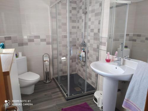 y baño con ducha, aseo y lavamanos. en Apartamento Manuel, en Vilagarcía de Arousa
