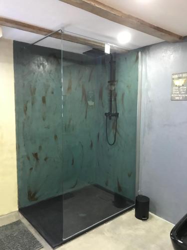a shower in a room with a green wall at Le Loft de l ancienne forge in Muhlbach-sur-Munster