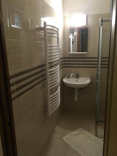 een kleine badkamer met een wastafel en een douche bij Vasmacska Panzió in Komárom