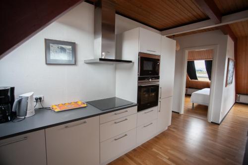 Kuchyň nebo kuchyňský kout v ubytování Tórshavn Apartment - In The Center