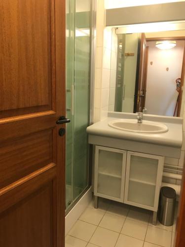 une salle de bain avec un lavabo et une douche en verre dans l'établissement Votre pied a terre sur le port de La Rochelle, à La Rochelle