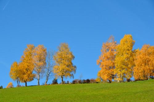 Naturlandschaft in der Nähe des Aparthotels