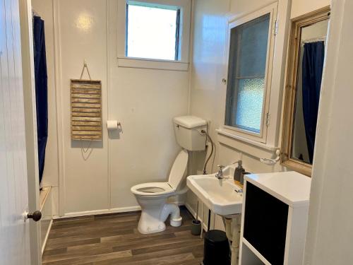 a bathroom with a toilet and a sink and a window at The Cottage @ Aranui in Wairoa