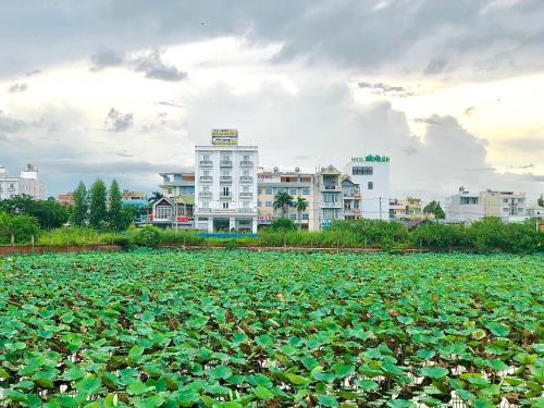 un campo lleno de plantas verdes frente a los edificios en HOTEL ĐĂNG KHOA 1 NÚI SAM en Chau Doc