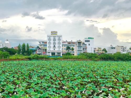 Zahrada ubytování HOTEL ĐĂNG KHOA 1 NÚI SAM