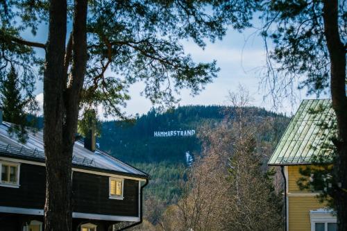 a view of the mountains from a house at Hammarstrand B&B och lägenhet in Hammarstrand