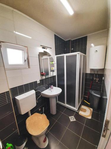 a bathroom with a shower and a toilet and a sink at DS center apartment in Ohrid