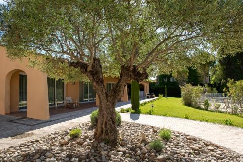 a tree in the middle of a garden at Novotel Aix-en-Provence Pont de L'Arc in Aix-en-Provence