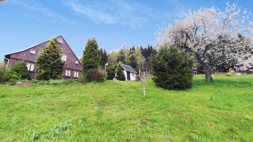 a large house in a green field with trees at Historisches Aschberg Haisl Klingenthal, Terrasse, großer Garten 6 plus 2 Personen in Klingenthal