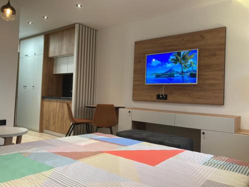 TV a/nebo společenská místnost v ubytování Vip Apartments Kopaonik