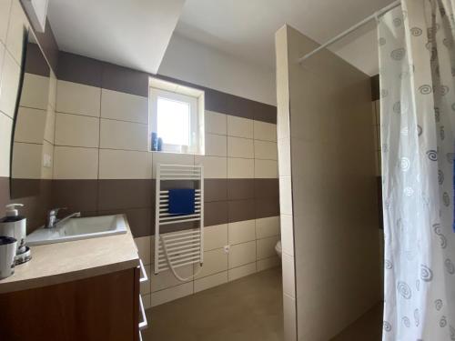 uma casa de banho com um lavatório e um chuveiro em Chata Slanica em Námestovo