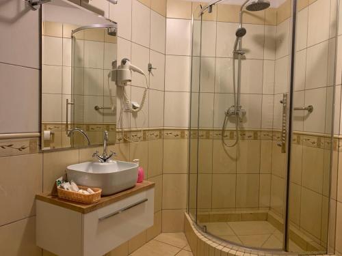 La salle de bains est pourvue d'un lavabo et d'une douche. dans l'établissement Hotel Kameleon, à Tarnobrzeg