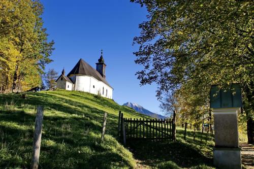 Příroda nedaleko apartmánu