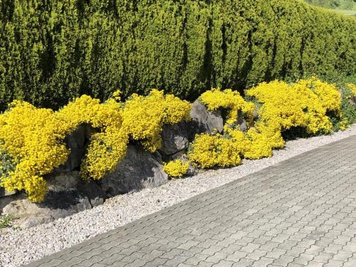 Fotografie z fotogalerie ubytování Ferienwohnung Pyhrgasblick v destinaci Rosenau am Hengstpass