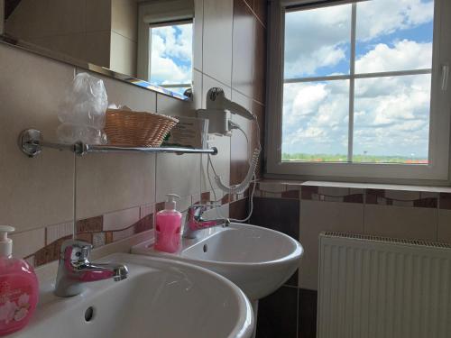 a bathroom with a sink and a window at Hotel Kameleon in Tarnobrzeg