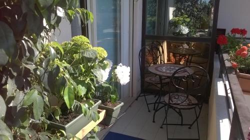 B&B Villa Dante - Policlinico