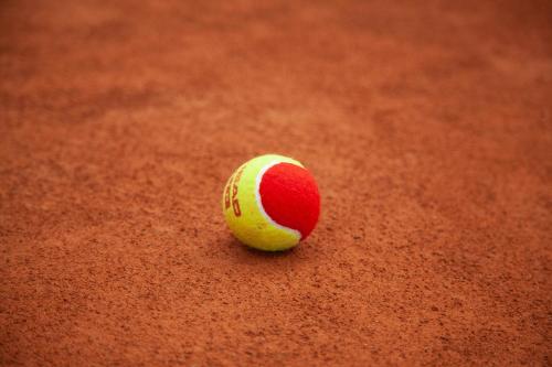 a red and white tennis ball sitting on a court at LE FRUIT DEFENDU in Rueil-Malmaison