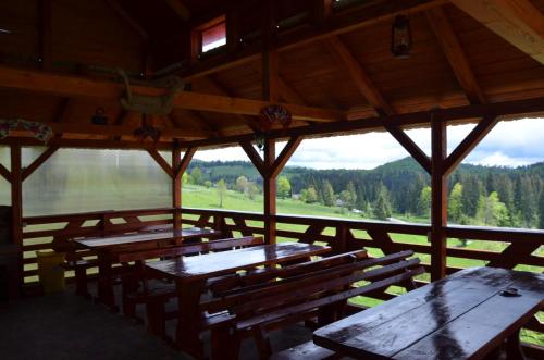 Fotografie z fotogalerie ubytování Cabana Ghetari v destinaci Gheţari