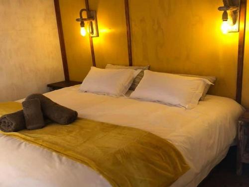 Un pat sau paturi într-o cameră la Jabula Bush Camp