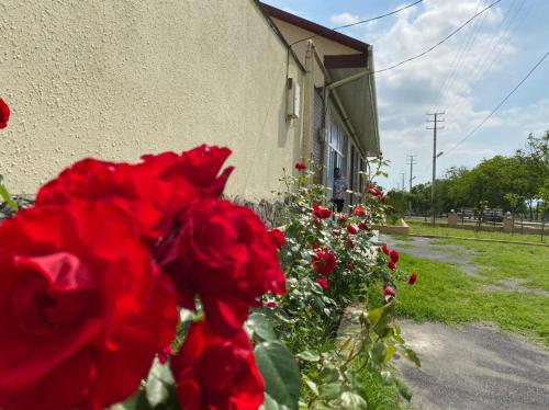 a group of red roses in front of a building at Alp Hotel in Qax