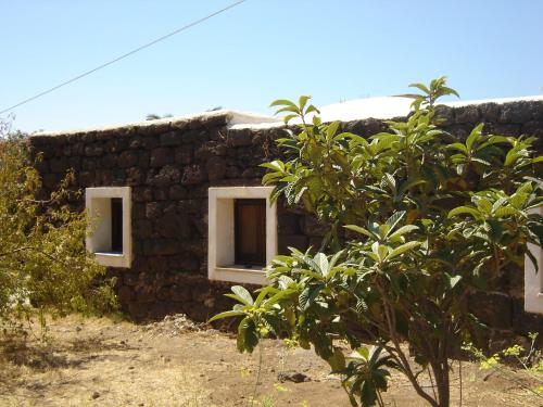 a stone building with two windows and a tree at Dammuso à garca 'i Scauri in Pantelleria