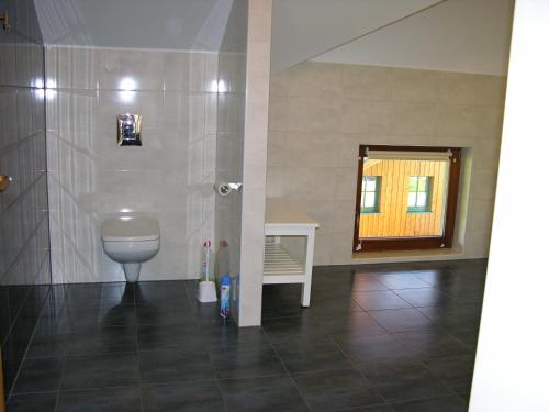 a bathroom with a toilet and a sink in a room at Haus Edelgrün in Tauplitz