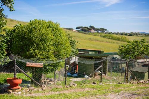 Κήπος έξω από το Agriturismo Zugarelli