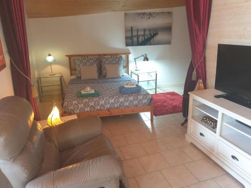 圖爾納弗伊的住宿－Appartement à Tournefeuille，一间卧室配有一张床、一张沙发和一台电视