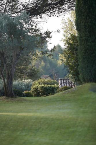 a green yard with trees and a field of grass at Mas des Songes in Monteux