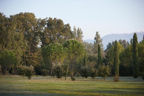 a field with trees and grass with a hill in the background at Mas des Songes in Monteux