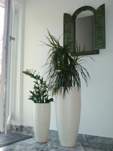 two plants in large white vases sitting on a table at Drei Tannen in Bodenmais