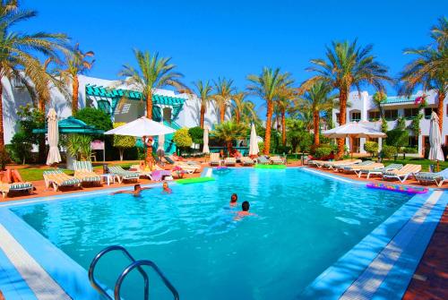 eine Gruppe von Personen, die in einem Pool in einem Resort schwimmen in der Unterkunft Falcon Hills Hotel in Sharm El Sheikh