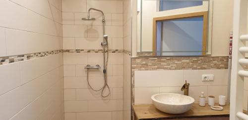 ein Bad mit einem Waschbecken und einer Dusche in der Unterkunft Ferienwohnung Kell am See in Kell