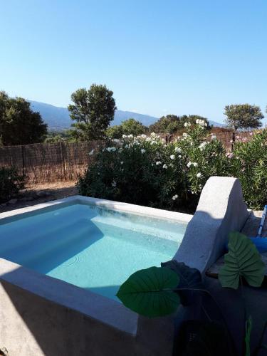 - une petite piscine d'eau bleue dans la cour dans l'établissement CASA GHJE, à Porto-Vecchio
