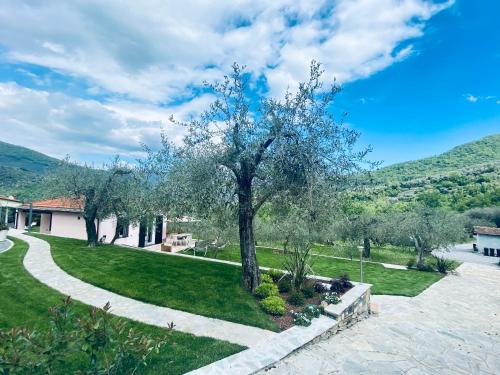 a tree in the yard of a house at Casa vacanze gli ulivi in Borgomaro