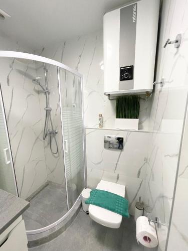 a bathroom with a shower and a toilet and a sink at Luxury Emerald Apartments in Irpin'