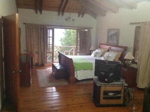 a bedroom with a bed with a television and a balcony at Villa Paloma/ Home/ Office-Remote Office in Constanza