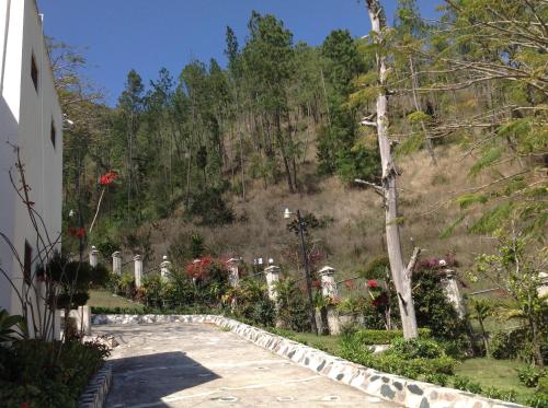 a grave yard with a hill in the background at Villa Paloma/ Home/ Office-Remote Office in Constanza