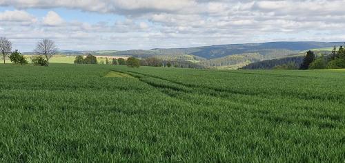 a field of green grass with a road in it at Zum Elleblick in Frauenstein