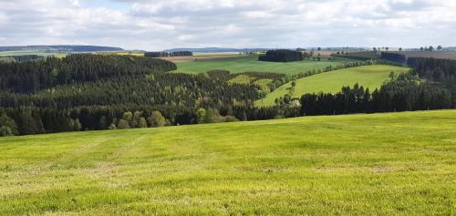 a green field with trees in the distance at Zum Elleblick in Frauenstein