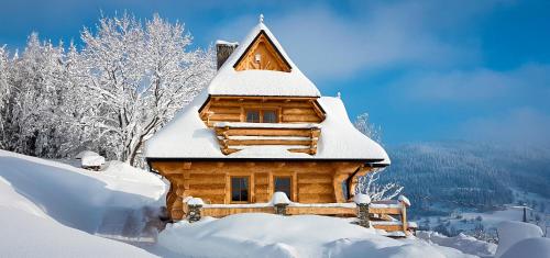 ObidowaにあるJarogówka Stylowy dom góralskiの山中雪山の木造小屋