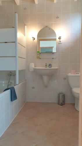 une salle de bain avec un lavabo, des toilettes et un miroir dans l'établissement Figuier résidence Domaine Cap de Coste, à Saint-Frajou