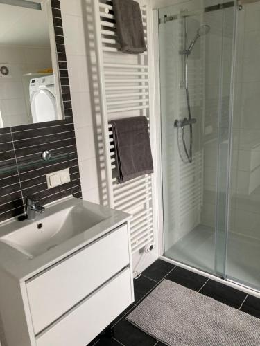 La salle de bains est pourvue d'un lavabo et d'une douche en verre. dans l'établissement Haus Moseltraum, à Coblence