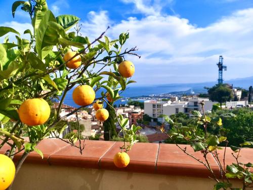an orange tree with a view of a city at Villa Giannina B&B in Taormina