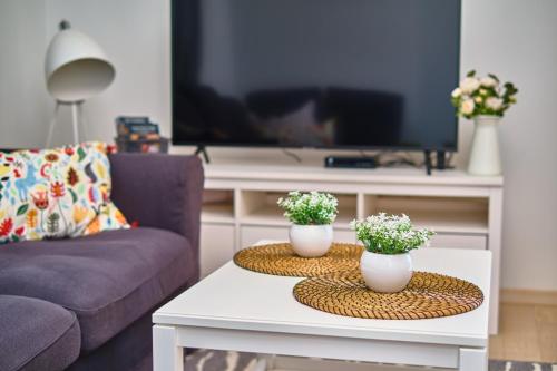 Televízia a/alebo spoločenská miestnosť v ubytovaní Luxury Seaside Apartment by Litto