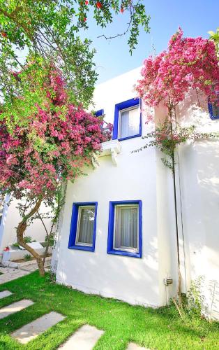Taman di luar Costa Bodrum City