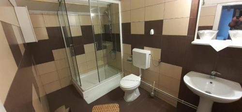 La salle de bains est pourvue d'une douche, de toilettes et d'un lavabo. dans l'établissement Pensiunea Sura, à Orăştie